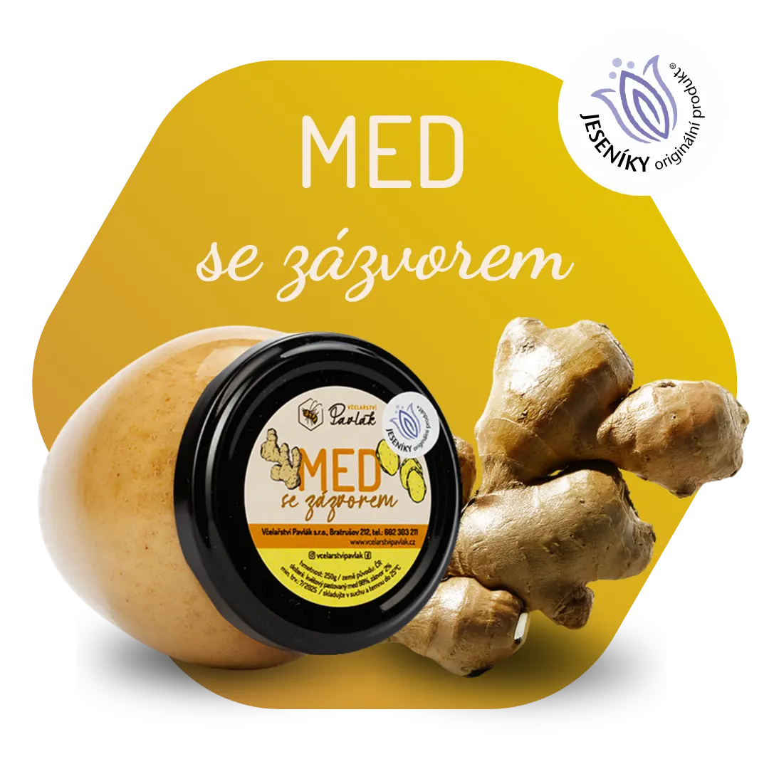 Med se zázvorem