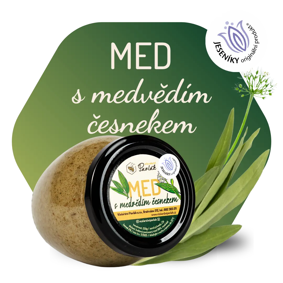 Med s medvědím česnekem
